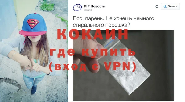 шишки Богородицк