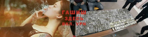 шишки Богородицк