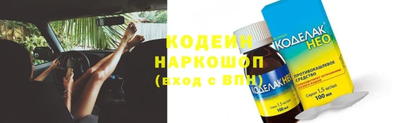 шишки Богородицк