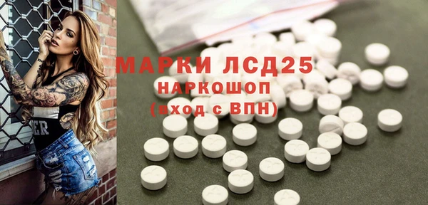 spice Приозерск